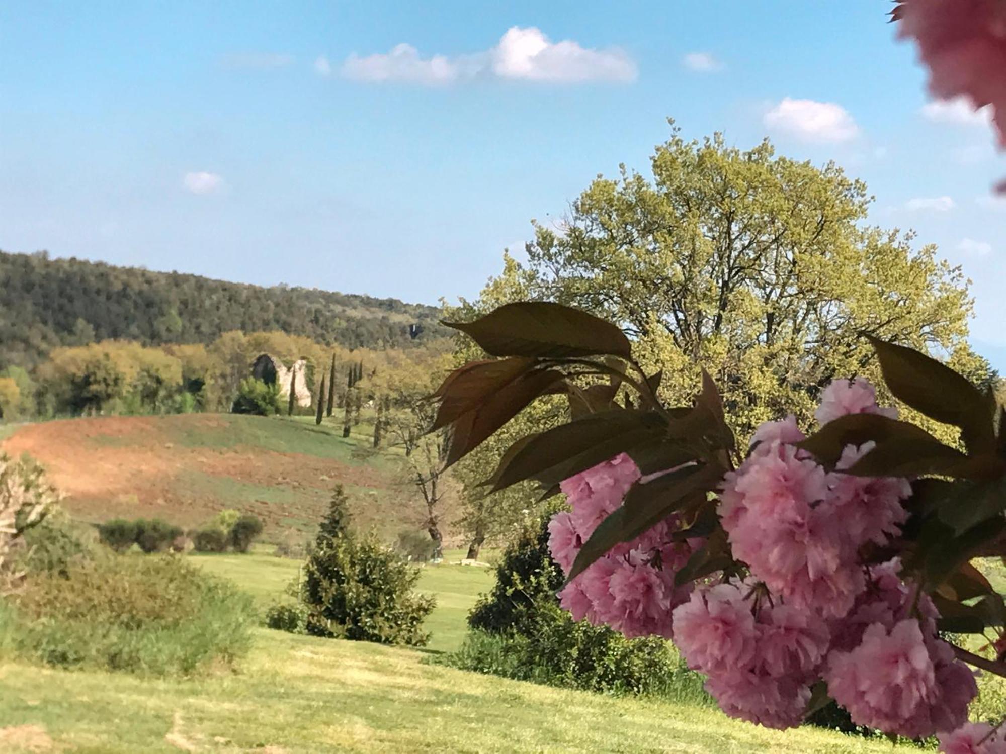 Tenuta Del Gallo Amelia Zewnętrze zdjęcie