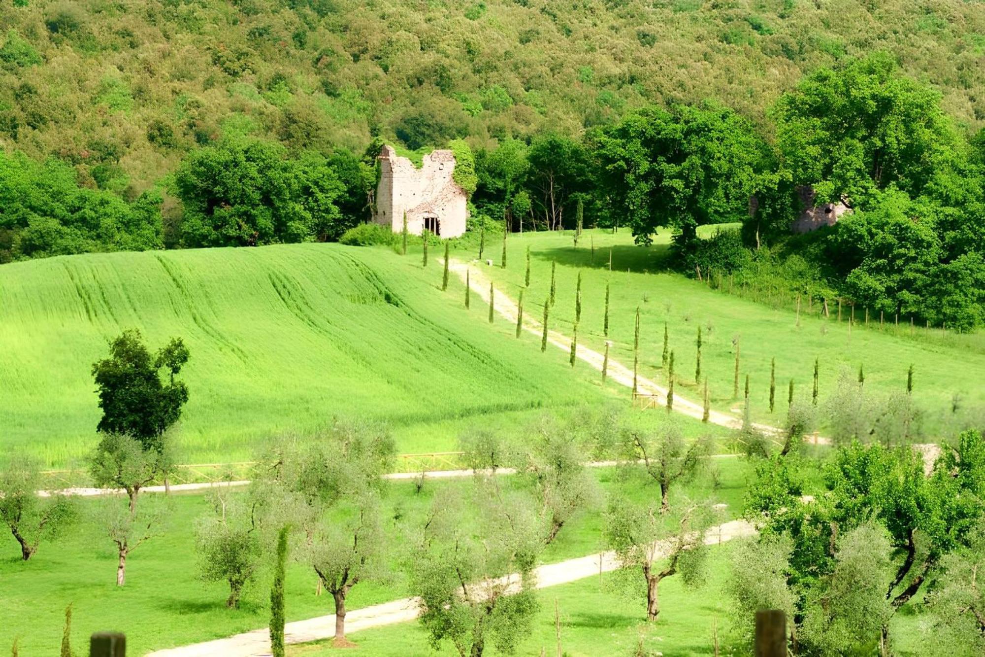 Tenuta Del Gallo Amelia Zewnętrze zdjęcie