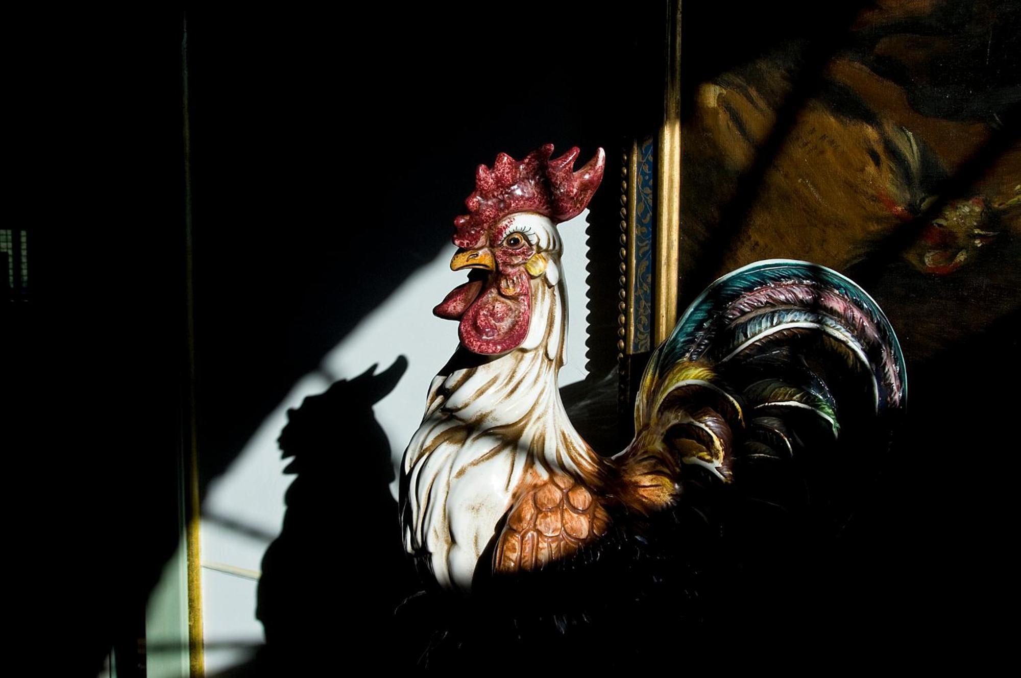 Tenuta Del Gallo Amelia Zewnętrze zdjęcie